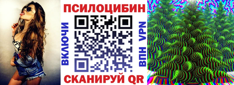хочу наркоту  Кохма  Галлюциногенные грибы мицелий 