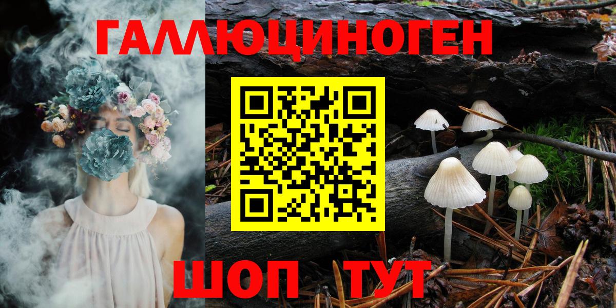 Кохма  магазин продажи   Вход с VPN  Псилоцибиновые грибы мухоморы  Галлюциногенные грибы Psilocybine cubensis 
