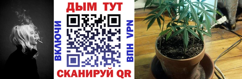 Конопля индика  Кохма 